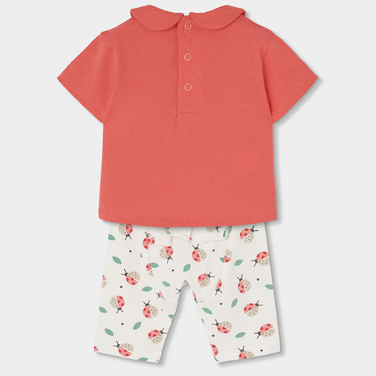 Conjunto Bebe De Algodon