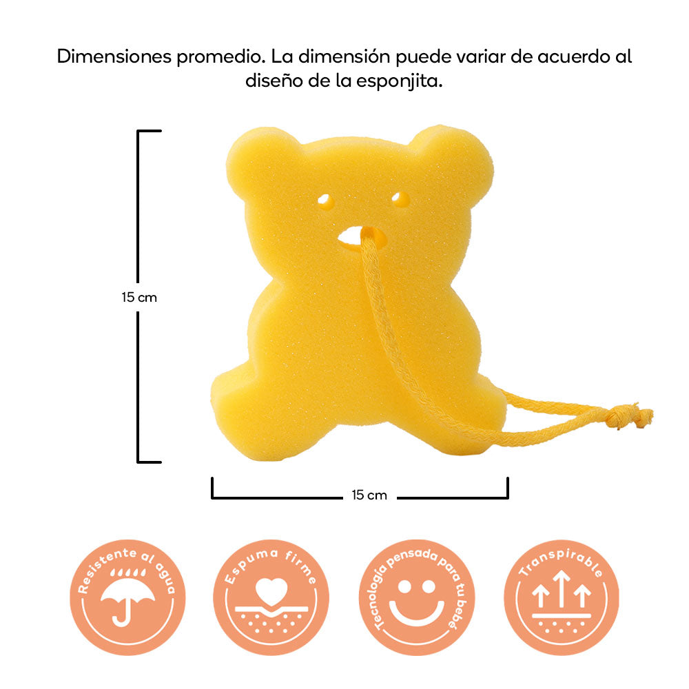 5.1 FOTOS-INFOGRAFIA-ESPONJITA-2