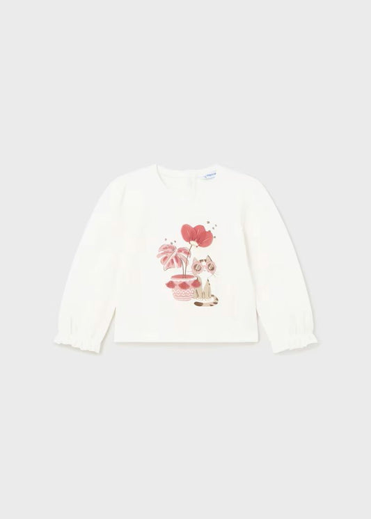 19874 – 88.900 pub