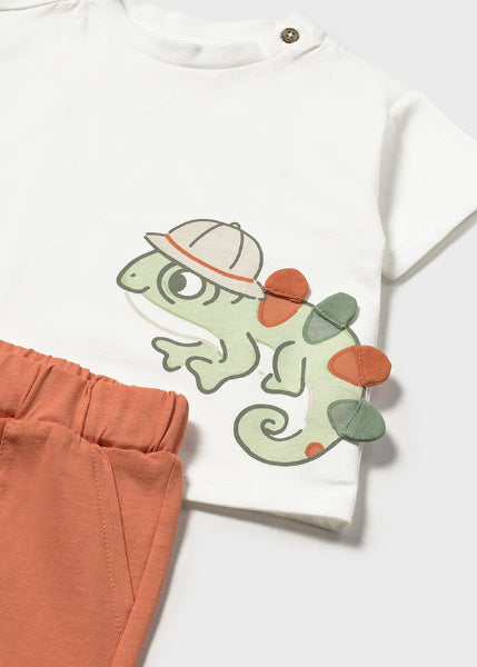 Conjunto Punto Pantalon Camiseta