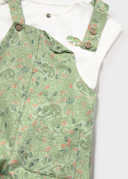 Conjunto Peto Punto