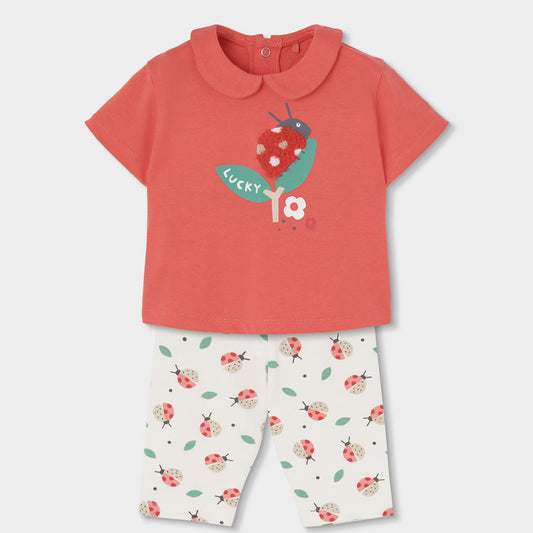 Conjunto Bebe De Algodon