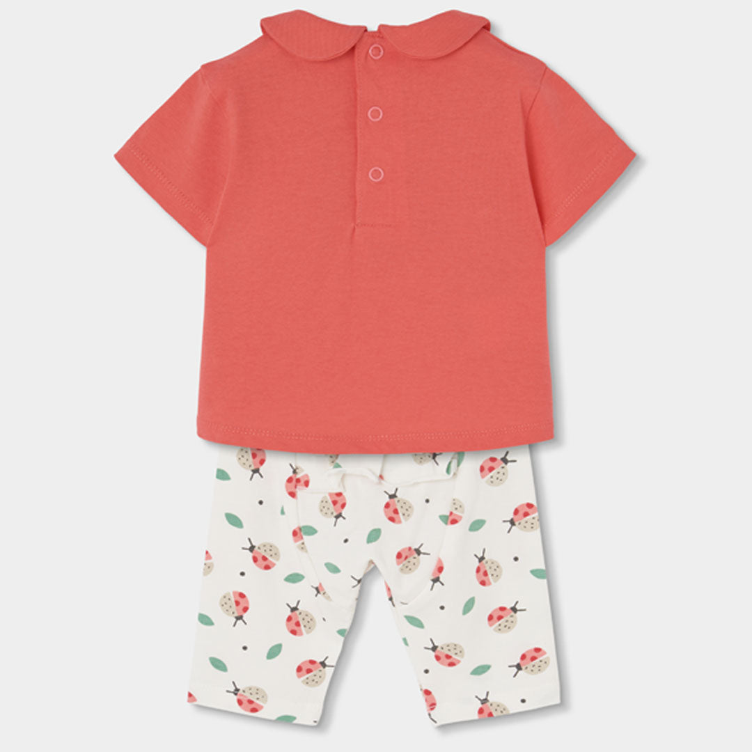 Conjunto Bebe De Algodon