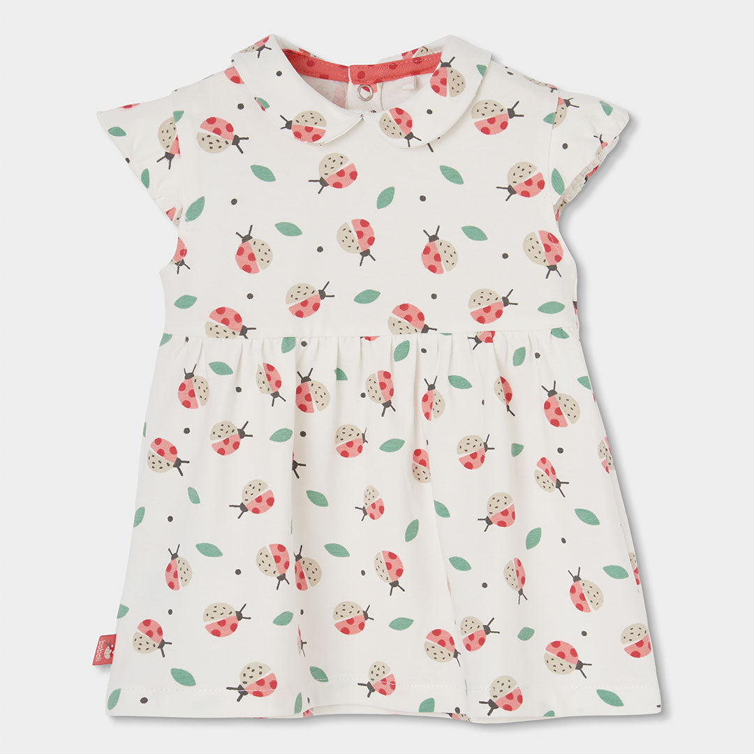 Vestido Bebe Punto Con Estampado
