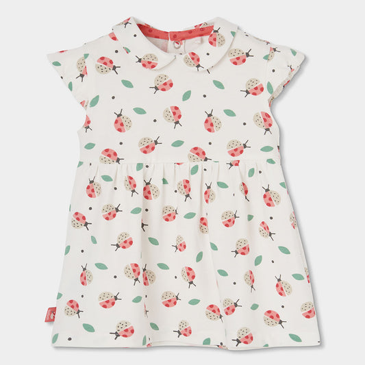 Vestido Bebe Punto Con Estampado