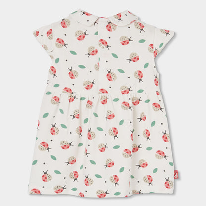 Vestido Bebe Punto Con Estampado