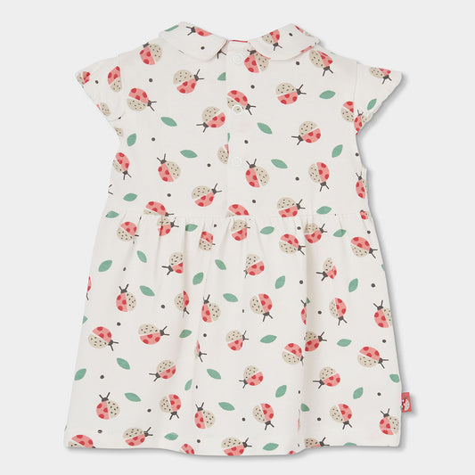 Vestido Bebe Punto Con Estampado