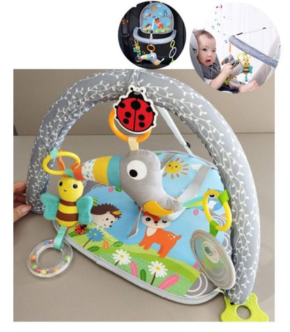 Mini gimnasio para el carro