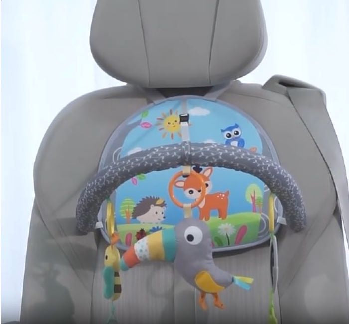 Mini gimnasio para el carro