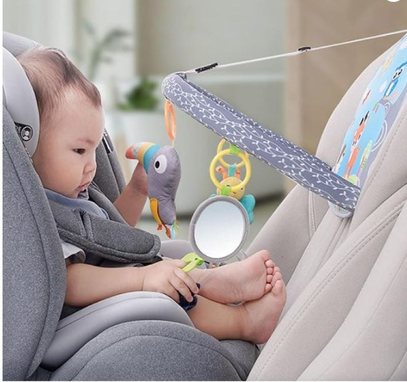 Mini gimnasio para el carro