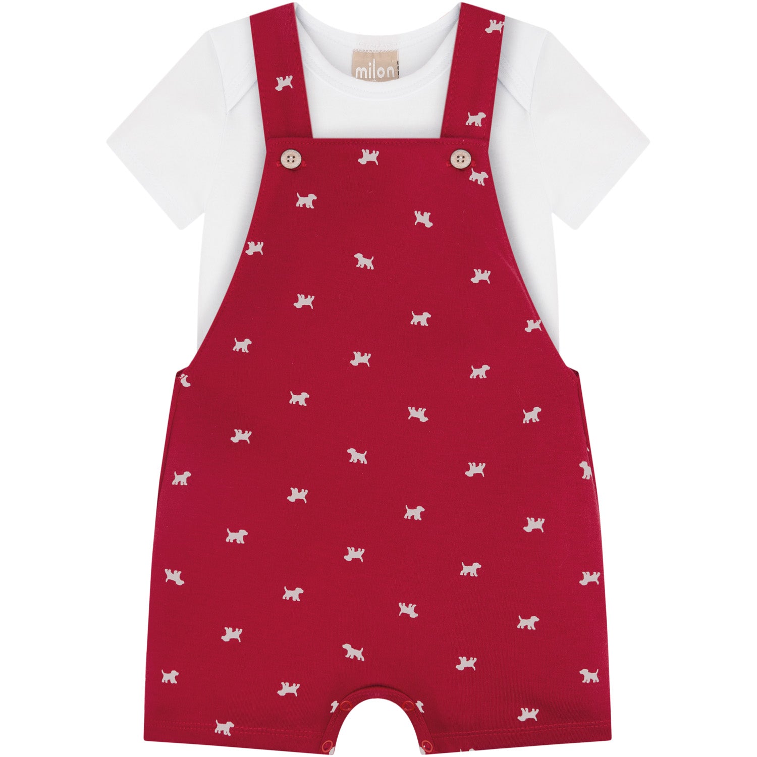 Cod16902 $148.900