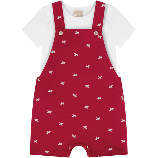 Cod16902 $148.900