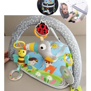 Mini gimnasio para el carro